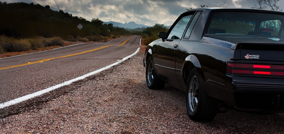 "Basking in the Southern California Desert"